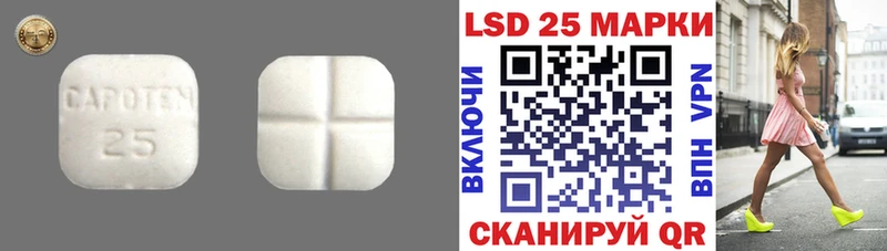 Купить где  Сенгилей  ЛСД экстази ecstasy 