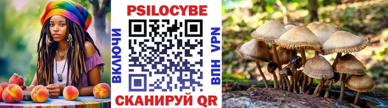 Купить закладки Сенгилей Псилоцибиновые грибы Psilocybe